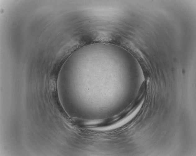 X0000089930517200706291201