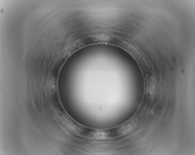 X0000089930518200706291201