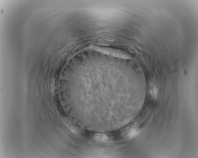 X0000089930519200706291201