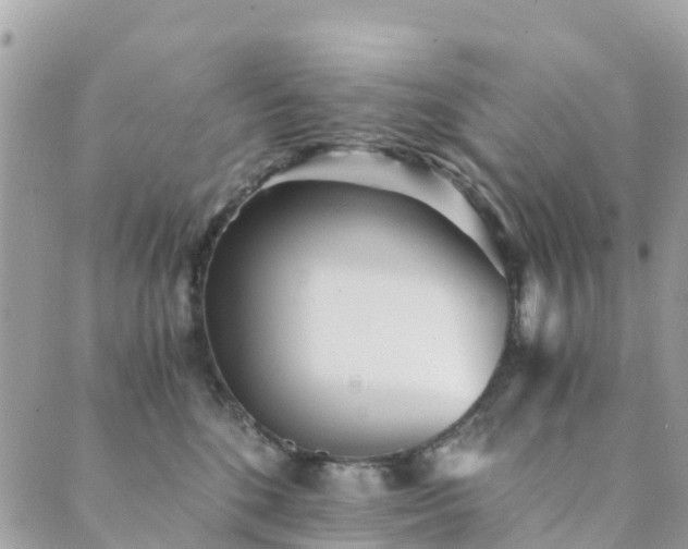 X0000089930520200706291201