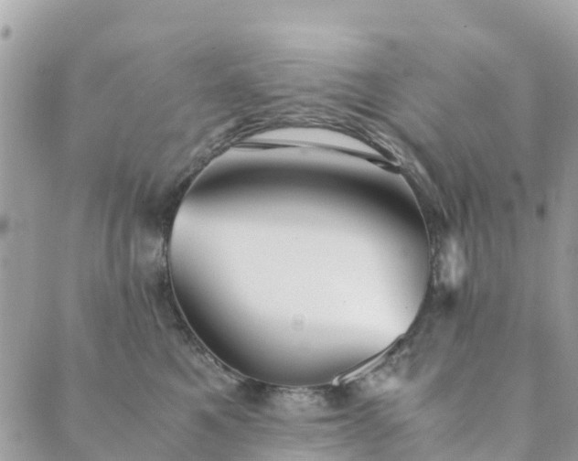 X0000089930521200706291201