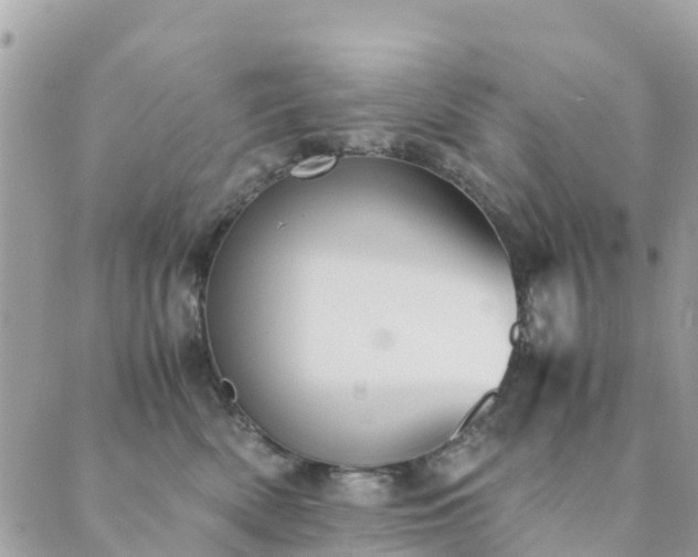 X0000089930522200706291201