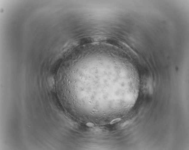 X0000089930523200706291201