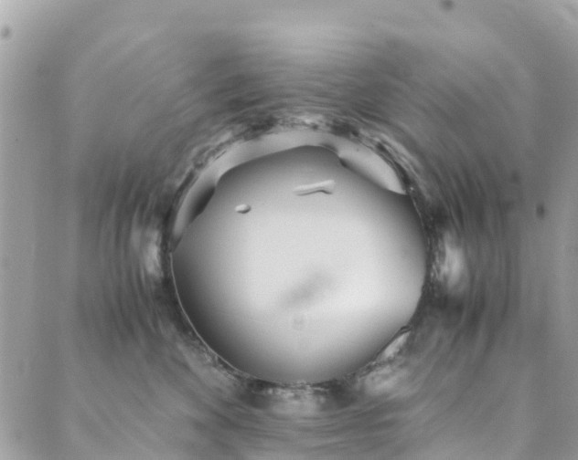 X0000089930524200706291201