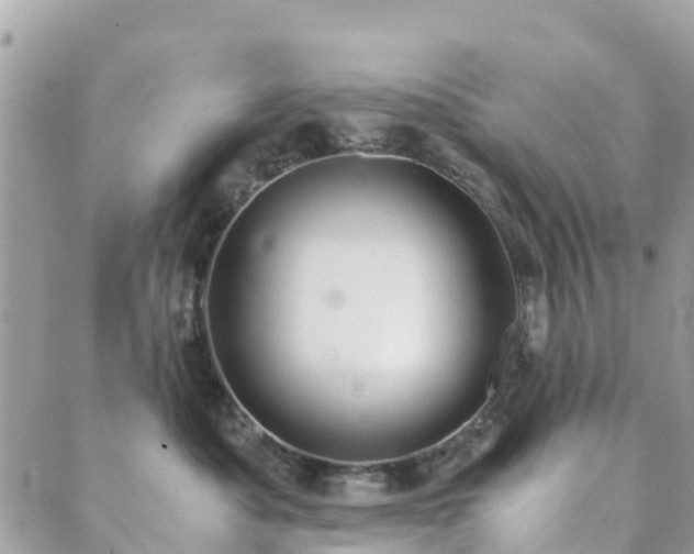 X0000089930525200706291201