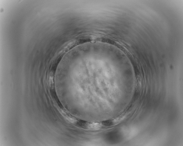 X0000089930527200706291201