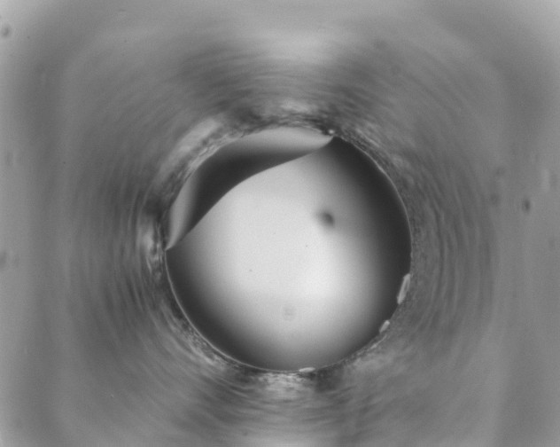 X0000089930528200706291201