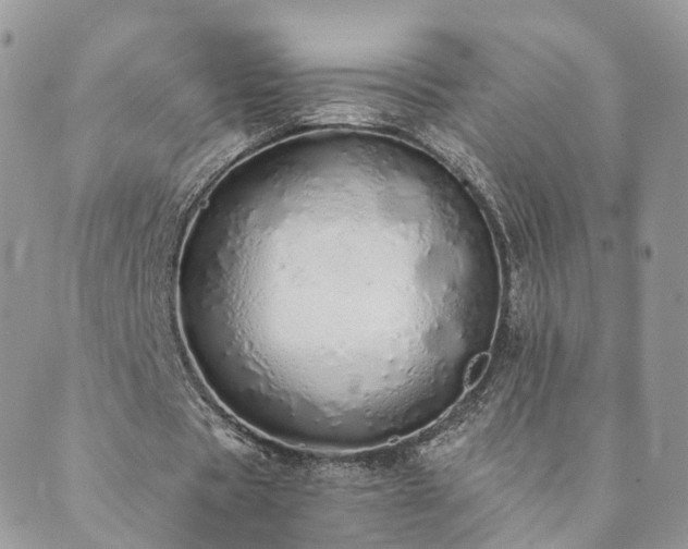 X0000089930529200706291200