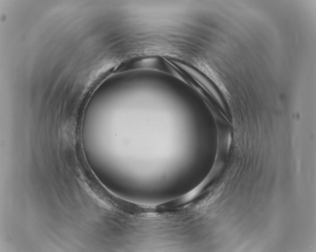 X0000089930530200706291200