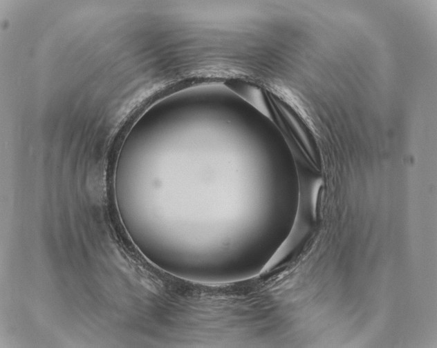 X0000089930531200706291200