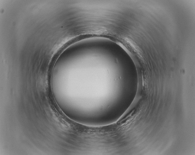 X0000089930532200706291200