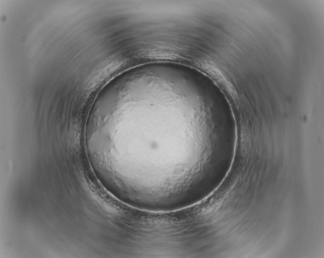 X0000089930533200706291200