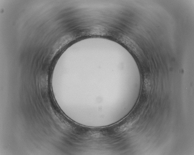 X0000089930534200706291200