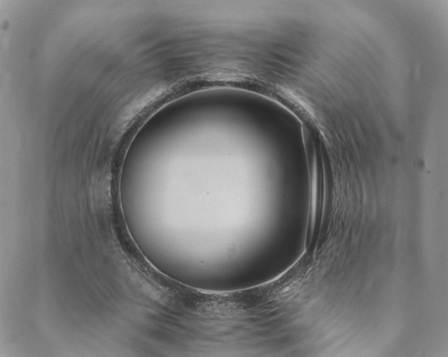 X0000089930535200706291200