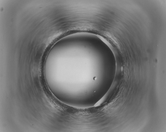 X0000089930536200706291200