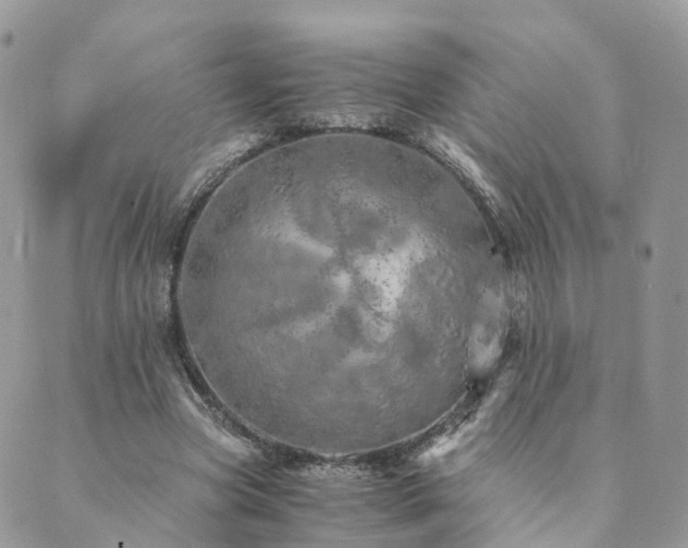 X0000089930537200706291200