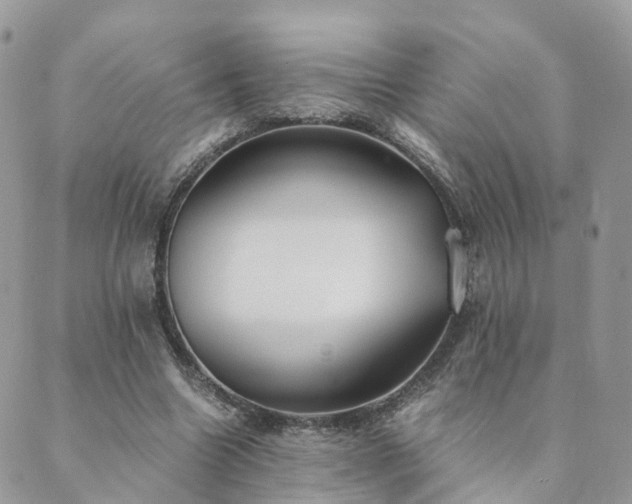 X0000089930538200706291200