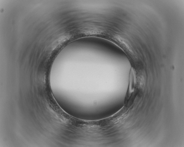 X0000089930539200706291200