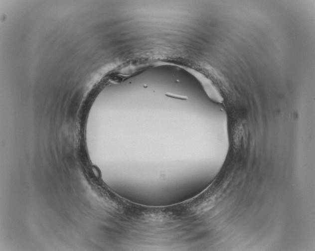 X0000089930540200706291200