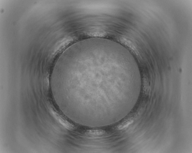 X0000089930541200706291200