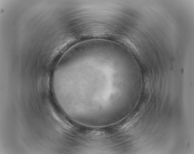 X0000089930542200706291200