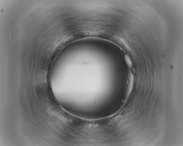 X0000089930543200706291200