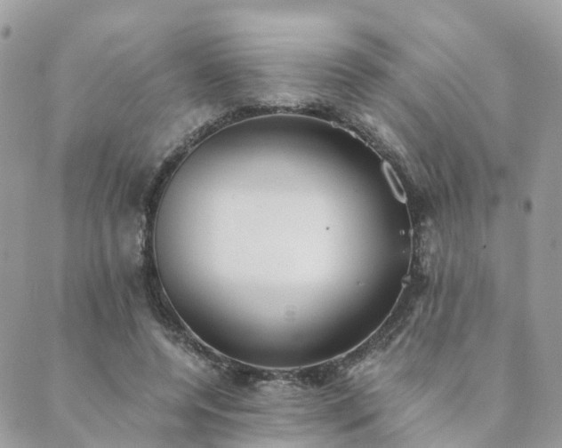 X0000089930544200706291200