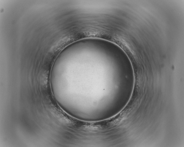 X0000089930545200706291200