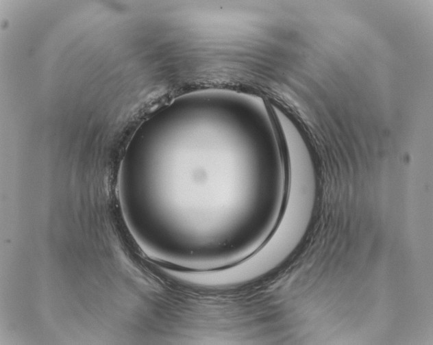 X0000089930546200706291200