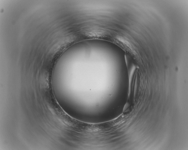 X0000089930547200706291200