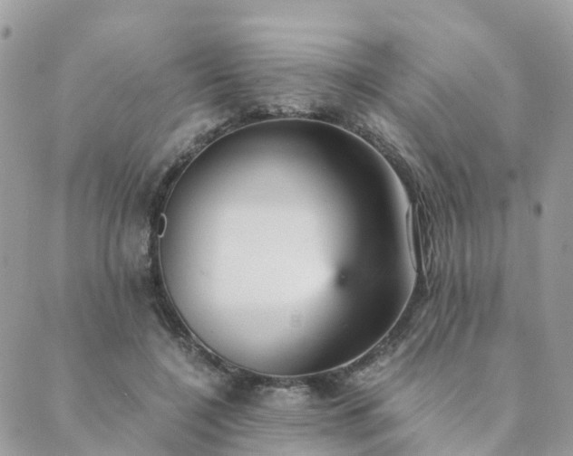 X0000089930548200706291200