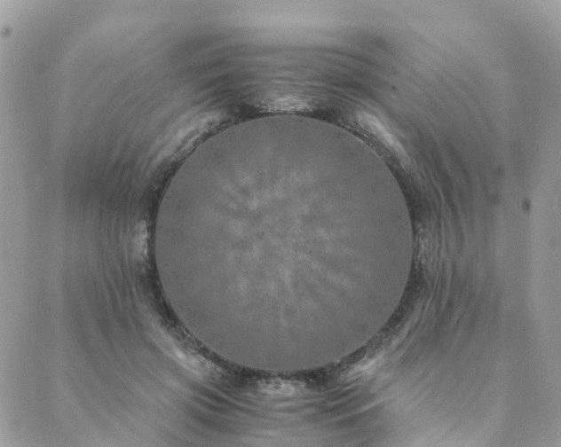 X0000089930549200706291200