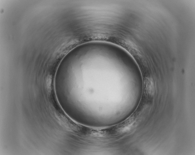 X0000089930550200706291200