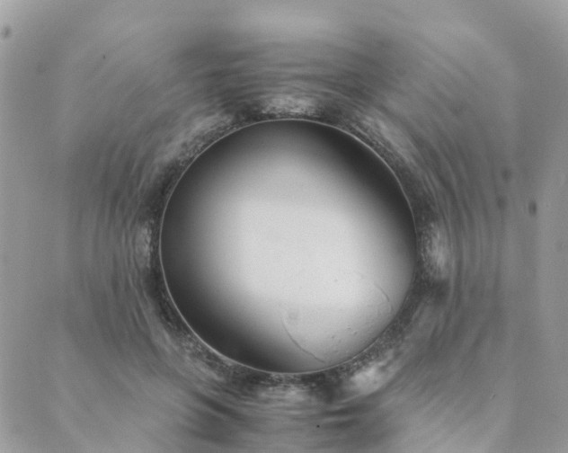 X0000089930551200706291200