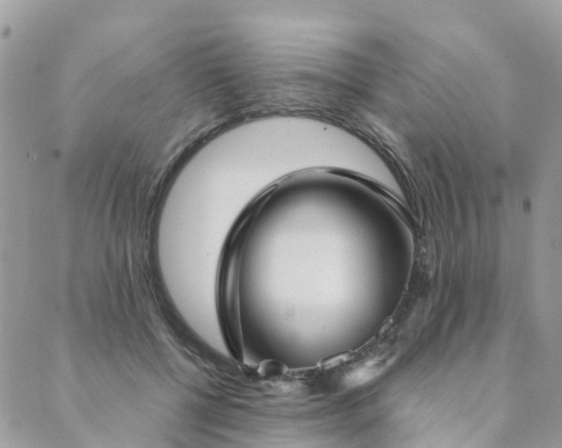 X0000089930552200706291200