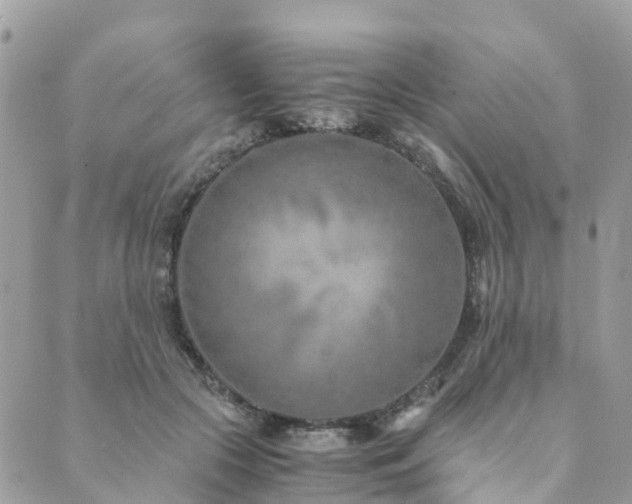 X0000089930553200706291200