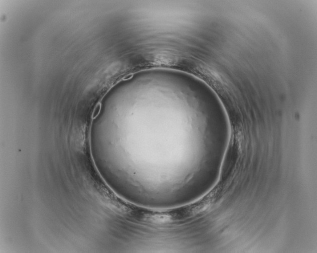 X0000089930554200706291200