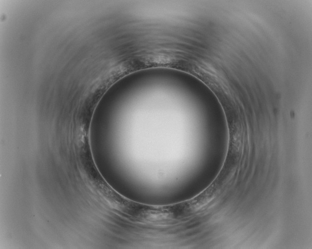 X0000089930555200706291200