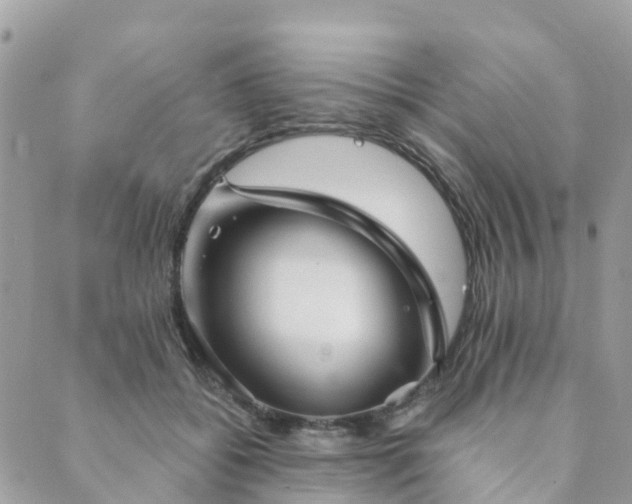 X0000089930556200706291200