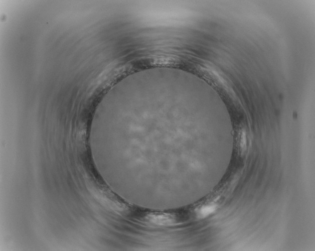 X0000089930557200706291200