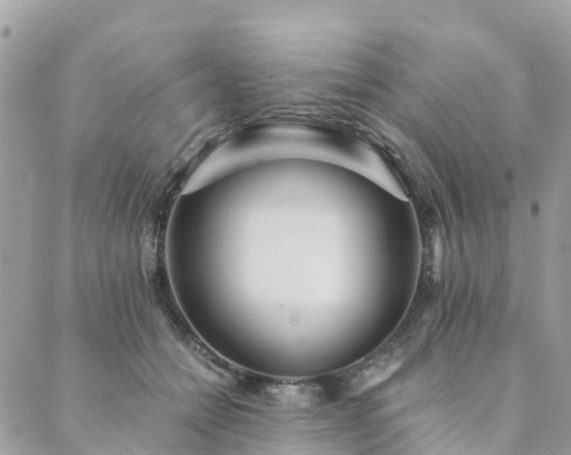 X0000089930558200706291200