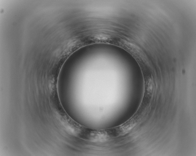 X0000089930559200706291200