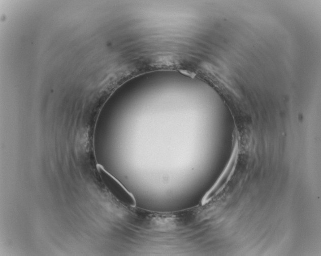 X0000089930560200706291200