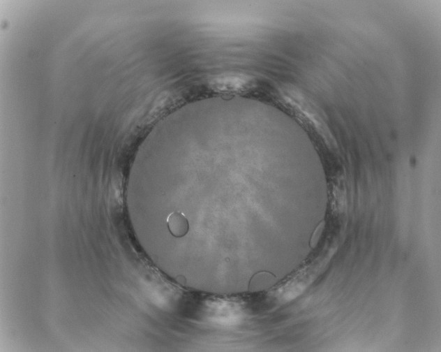 X0000089930561200706291200