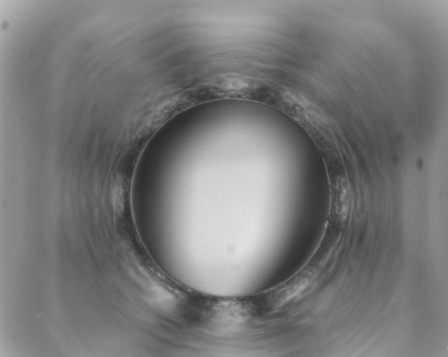 X0000089930562200706291200