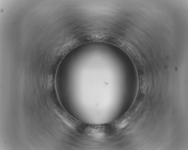 X0000089930563200706291200