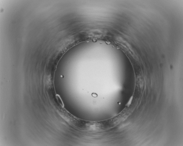 X0000089930564200706291200