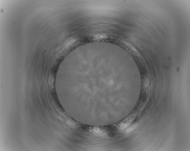 X0000089930565200706291200