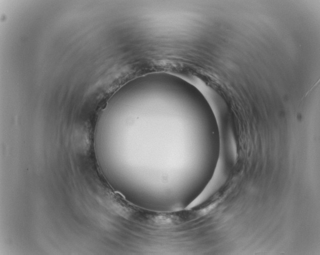 X0000089930566200706291200