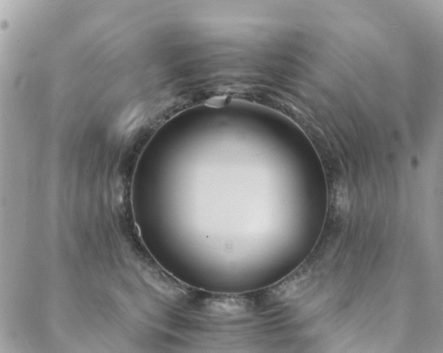 X0000089930567200706291200